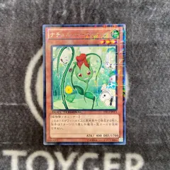 ナチュルローズウィップ レアパラ（DTC2）3枚セット 2025年最新】ナチュルローズウィップの人気アイテム - メルカリ