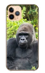 シンプルスマホ6 A201SH ケース カバー スマホケース ハードケース ゴリラ ごりら gorilla ワイルド イケメン かっこいい カッコイイ 動物 アニマル カラー06