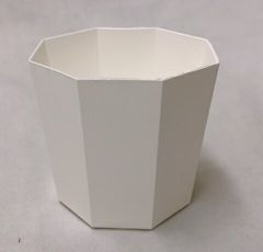 プラ鉢 2.5Y 白 100個セット 八角形 多肉 サボテン 山野草 植木鉢 プラスチック プランター
