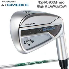 2025年最新】パラダイム アイアン awの人気アイテム - メルカリ