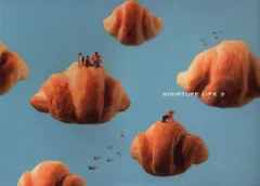 田中達也 MINIATURE LIFE 2のサムネイル