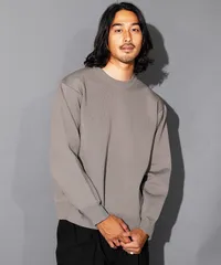 新品 未使用 JIGGYS SHOP(ジギーズショップ)ウォッシャブルミラノリブクルーニット 217387 グレージュのサムネイル