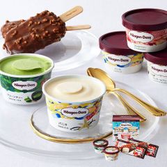 「ハーゲンダッツ」 バラエティーセット （冷凍便）