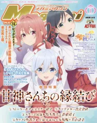 メガミマガジンRX Vol.8　ポスター、ピンナップ付録全付 メガミマガジンRX Vol.8 ポスター、ピンナップ付録全付 趣味
