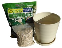 観葉植物 植え替え セット１０号　アイボリー　　 鉢、土、鉢底石、受皿のセット