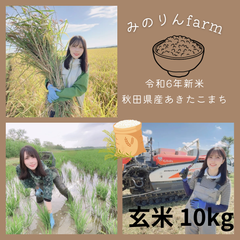 令和6年あきたこまち玄米10kg