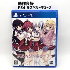 動作品 PS4 ラズベリーキューブ