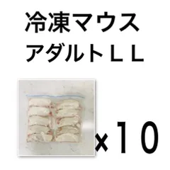 2025年最新】冷凍 ラットの人気アイテム - メルカリ