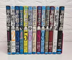 漫画　デスノート　全12巻＋13巻解説本