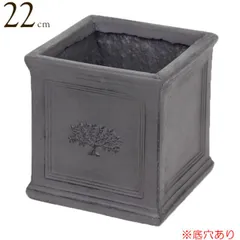 プランター 植木鉢 おしゃれ 鉢植え 四角 スクエアポットフォレスト 6号ポット British Gray グレー 横22×奥行22×高さ22 鉢 底穴あり 鉢 ガーデニング 軽量 寄せ植え 園芸園芸用品 庭 花 庭 木 かわいい 鉢 ギフト 贈り物