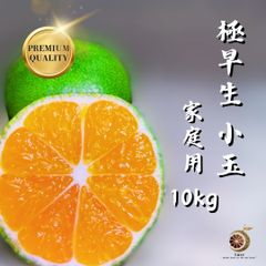 味濃い玉津みかん‼️俺の厳選　極早生　秀品＋家庭用ランク込み　小玉10kg
