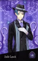 【中古】タペストリー(大型) ジェイド・リーチ プレミアムビッグタペストリー～オクタヴィネル寮～ 「ディズニー ツイステッドワンダーランド」