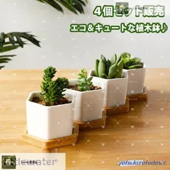 2025年最新】鉢植えの人気アイテム - メルカリ