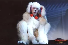 【中古】生写真(ジャニーズ) Snow Man/宮舘涼太/横型・ライブフォト・全身・2Lサイズ/「滝沢歌舞伎ZERO 2021」ステージフォト(新橋演舞場Ver.)