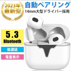 ワイヤレスイヤホン 最先端Bluetooth5.3 高音質 ノイズキャンセリング