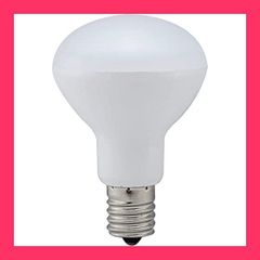 スタッフおすすめ！】カミオジャパン シール 大人の図鑑シール