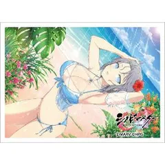 2025年最新】閃乱カグラ スリーブ 雪泉の人気アイテム - メルカリ