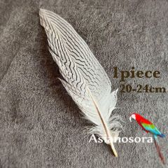 ◾️⭐︎【単品羽根ゼブラ柄】羽根 フェザー 鳥 パーツ 材料 アクセサリー  素材