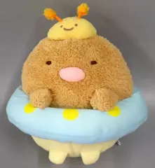 【中古】ぬいぐるみ とんかつ ふしぎなおともだち ころっとぬいぐるみ 「すみっコぐらし」