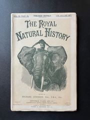 【鳥類のアンティーク図鑑】19巻　1893年発行 the royal natural history