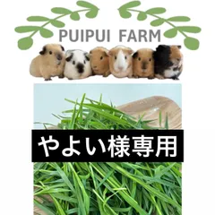 やよい様専用ページ  オーツヘイ