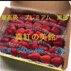 いちご 高級黒苺 真紅の美鈴 冷凍2キロ