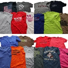 古着卸 まとめ売り カラーmix プリント 半袖Tシャツ 20枚セット (メンズ 2XL ) 星条旗 ナイキ ディズニーキャラクター 中古 古着 MY5170