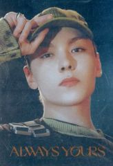 [중고] 식완 스티커 씰 버논 레어 씰 [SVT 웨이퍼 하스 FROM PLEDIS ENTERTAINMENT SEVENTEEN]