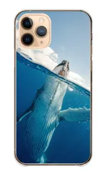 Xperia 5 II SO-52A SOG02 A002SO ケース カバー エクスペリア 5 マークツー スマホケース ハードケース クジラ くじら クジラ ホエールウォッチング 海 動物 写真 かっこいい カッコイイ クール カラー09