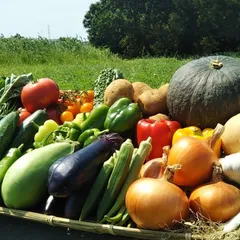 【農薬、化学肥料不使用】旬の野菜詰め合わせ７～８品目　［クール便・送料込み］