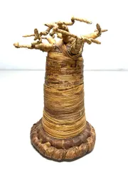 2025年最新】アフリカ 民芸の人気アイテム - メルカリ