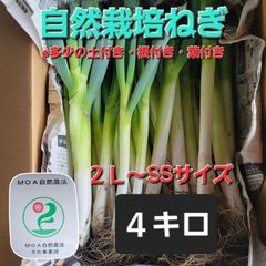 箱変わりました！自然栽培ねぎ４キロ根付き・葉付き・土付き