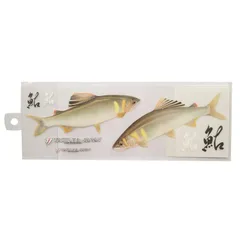 尺鮎 ニゴイカラー専用出品‼️ 尺鮎 ニゴイカラー専用出品‼️