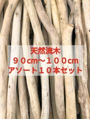 【送料無料】南信州産 天然流木 まがり屋流木 枝流木 アソート（９０cm以上１００cm未満） 【１０本セット】まとめ売り セット販売淡水流木 川流木 流木格安販売 流木卸売 1m流木