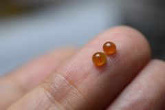 BR7-33 一点物 赤翡翠 ミャンマー産 本翡翠 シルバー