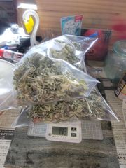 乾燥ヨモギ　約１４０g