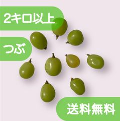 山梨県産 シャインマスカット 粒 2kg 甘くてプリプリ♪ / ぶどう パーティー・お誕生日・お菓子作りのサムネイル