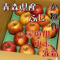 家庭用りんご　3k箱　小玉　青森弘前ふじ