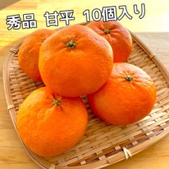 愛媛県産　秀品　甘平　10個入り