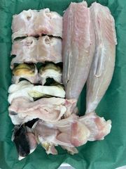 【発送前に調理】国産 《活》とらふぐ身欠 内容量1200g(2匹分)