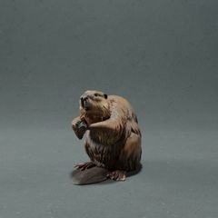 Animal Den Miniatures | American Beaver 1/35 | 3Dプリント ミニチュア