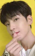 【中古】コレクションカード(男性) SEVENTEEN/WONWOO(ウォヌ)/CD「JAPAN SPECIAL SINGLE『あいのちから』」SEVENTEEN Weverse Shop JAPAN特典フォトカード