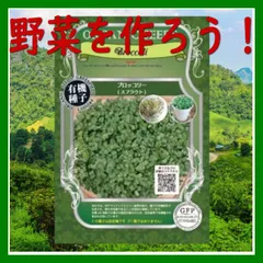 【野菜を作ろう！】グリーンフィールドプロジェクト　ブロッコリースプラウト(S)【有機種子・固定種】ポスト投函便