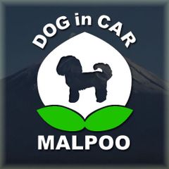 マルプーのドッグインカーかわいい桃ちゃんの白色ステッカー‼︎