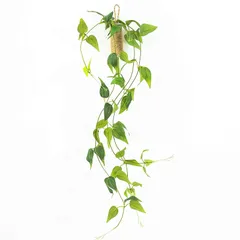 【新品】 WillingYou フェイクグリーン 吊り下げ 花瓶付け 壁掛け人工植物 人工観葉植物一輪挿し 全長70 1