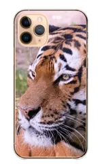 iPhone 13 iPhone13 ケース カバー アイフォン13 スマホケース ハードケース 虎 トラ タイガー ホワイトタイガー tiger かっこいい カッコイイ 動物 アニマル カラー05