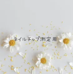 ネイルチップ測定用