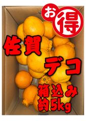 北海道沖縄離島追加送料無し　佐賀県産デコポン（不知火）箱込み約5kg 訳あり品