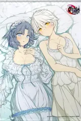 【中古】タペストリー 雪泉＆雅緋 描き下ろしB2タペストリー 「PS4ソフト 閃乱忍忍忍者大戦ネプテューヌ -少女達の響艶- ねぷねぷシノビ萌絵箱」 ソフマップ購入特典