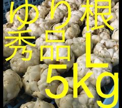 北海道産 ゆり根 3L 5kg 秀品 大特価 野菜 - アグリノムラ - メルカリ